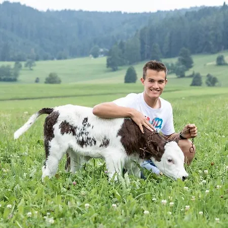 Loefflerhof Farm stay Monguelfo-Tesido / Welsberg-Taisten